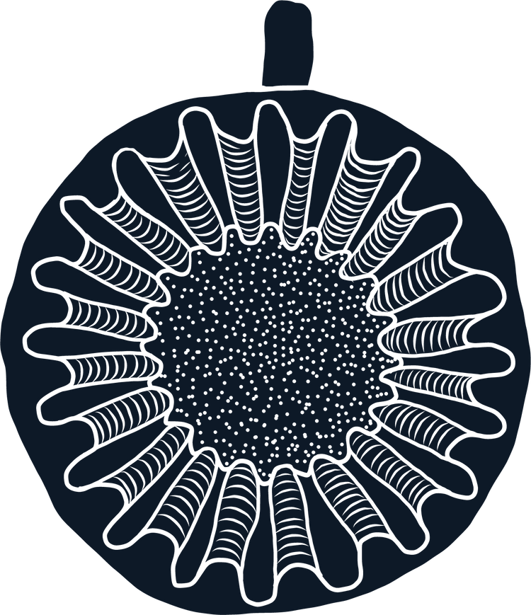 Jack Henry Coffee Roasters